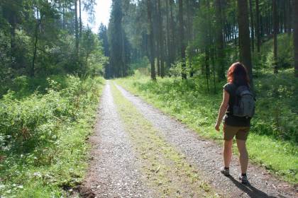 Korte wandelroutes